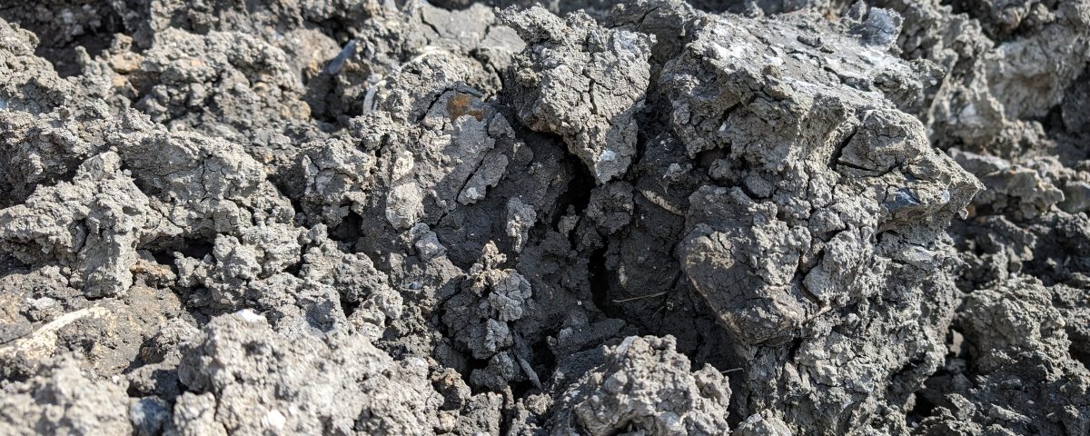 ECOTERRE 20240425 (4)