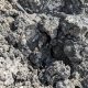 ECOTERRE 20240425 (4)